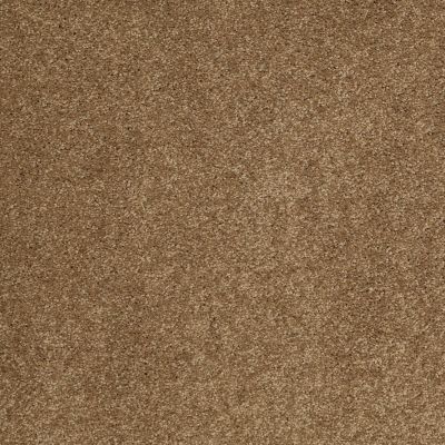 Serendipity II Lasting Luxury  BRONZE GLOW LL_00727_Z6942