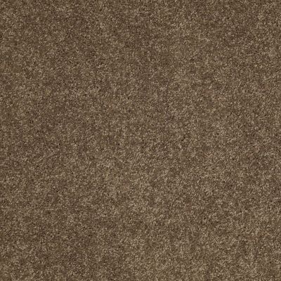 Serendipity II Lasting Luxury  VICUNA LL_00736_Z6942