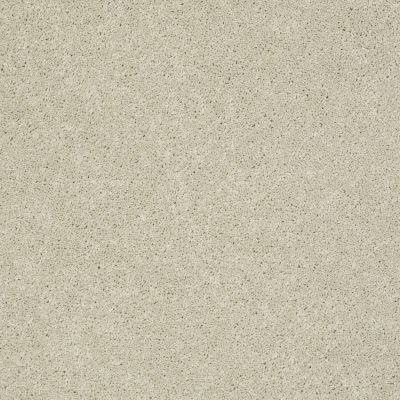 Cooper Lasting Luxury  SUCCULENT LL_00102_Z6944