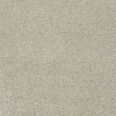 Cooper Lasting Luxury  EURO LINEN LL_00110_Z6944