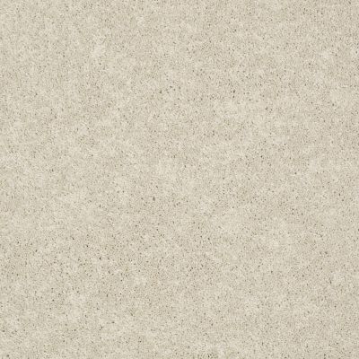 Sasha Lasting Luxury  ROYAL CREAM LL_00103_Z6945