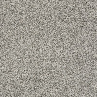 Sasha Lasting Luxury  STONE PATH LL_00113_Z6945