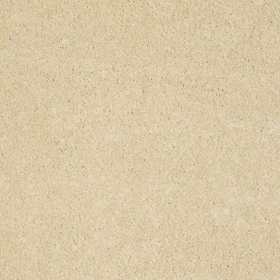 Sasha Lasting Luxury  GOLD SUNSET LL_00200_Z6945