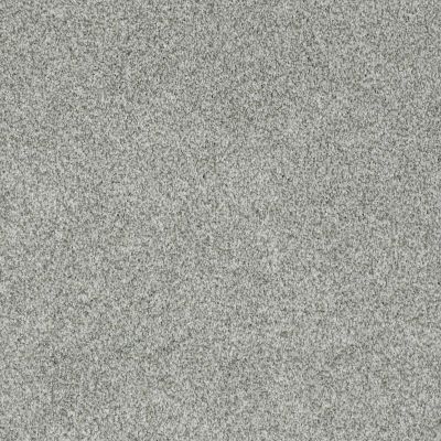 Sasha Lasting Luxury  CHROME LL_00511_Z6945