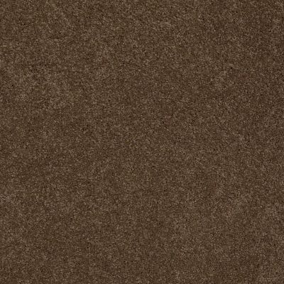 Sasha Lasting Luxury  DERBY BROWN LL_00703_Z6945