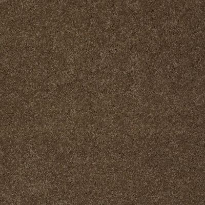 Gus Lasting Luxury  DERBY BROWN LL_00703_Z6956