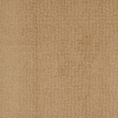 New Vibe Lasting Luxury  AMBER LL_00270_Z6957