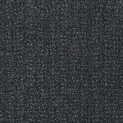 New Vibe Lasting Luxury  BLUE SAGE LL_00378_Z6957