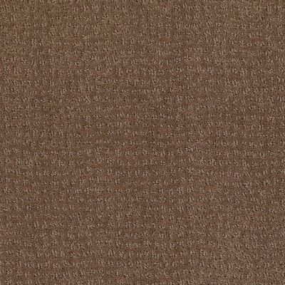 New Vibe Lasting Luxury  ICED LATTE LL_00726_Z6957