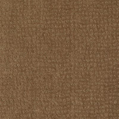 New Vibe Lasting Luxury  BURNT SUGAR LL_00737_Z6957