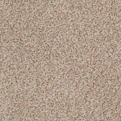Palladio II Lasting Luxury  WHEAT LL_00212_ZZ002