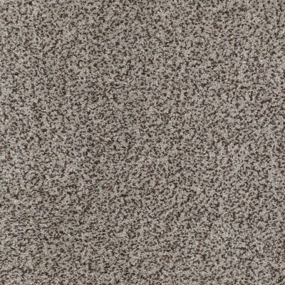 Palladio II Lasting Luxury  SILVER CLOUD LL_00555_ZZ002