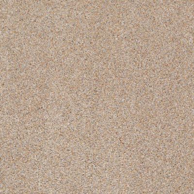 Palladio II Lasting Luxury  AMBER ROSE LL_00622_ZZ002