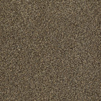 Palladio II Lasting Luxury  TAUPE LL_00728_ZZ002