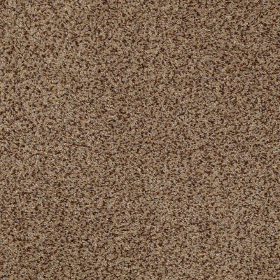 Palladio II Lasting Luxury  SANDSTORM LL_00756_ZZ002