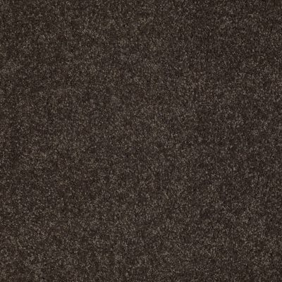 West Place I Lasting Luxury  COCOA BEAN LL_00778_ZZ003