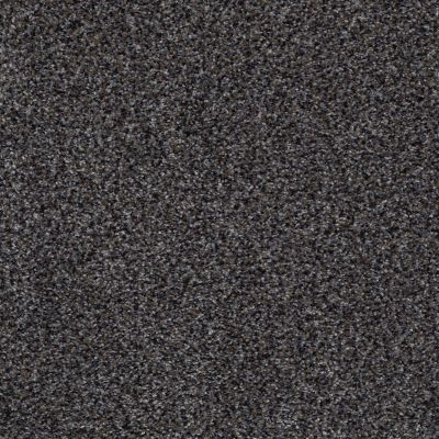 Venecia II Lasting Luxury  NIGHT SHADOW LL_00979_ZZ004