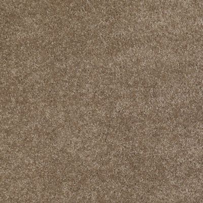 West Place II Lasting Luxury  COBBLESTONE LL_00753_ZZ005