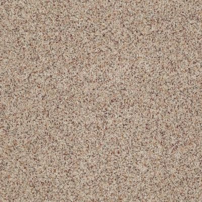 West Place II Lasting Luxury  TERRAZZO LL_0213B_ZZ005