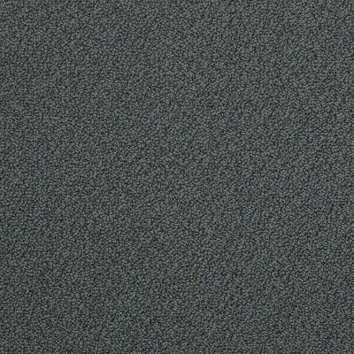 On Point Lasting Luxury  SHADOW RIDGE LL_00546_ZZ012