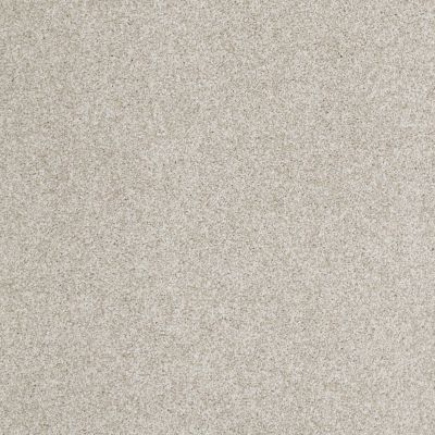 Hudson Falls Lasting Luxury  OYSTER SHELL LL_00152_ZZ014