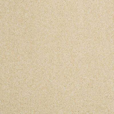 Hudson Falls Lasting Luxury  GENTLE YELLOW LL_00222_ZZ014