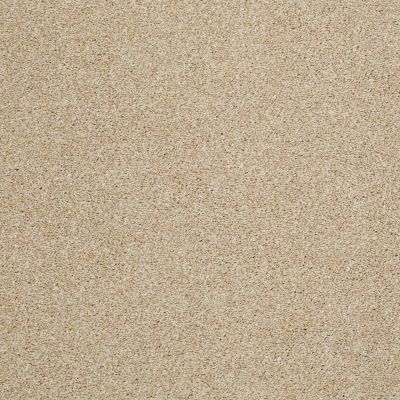 Hudson Falls Lasting Luxury  CORNSILK LL_00232_ZZ014