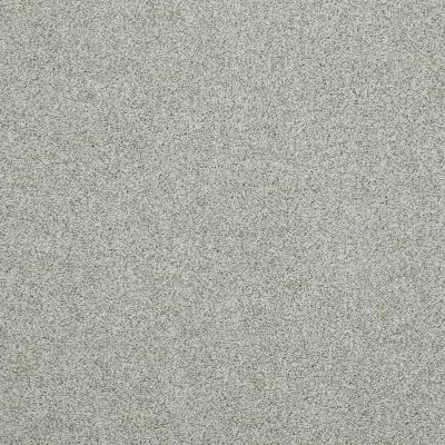 Hudson Falls Lasting Luxury  ANTIQUE SAGE LL_00313_ZZ014