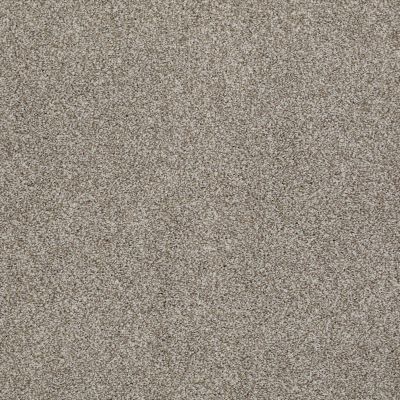 Hudson Falls Lasting Luxury  DEMURE TAUPE LL_00573_ZZ014