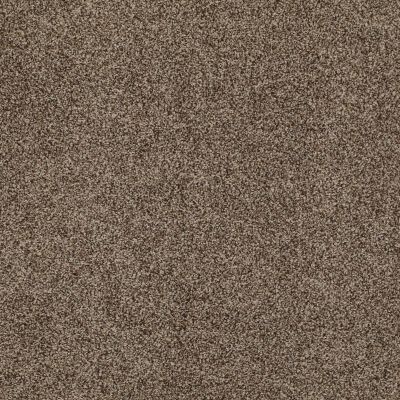 Hudson Falls Lasting Luxury  MALTED CRUNCH LL_00758_ZZ014