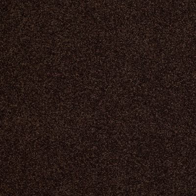 Hudson Falls Lasting Luxury  CHOCOLATE DROP LL_00777_ZZ014