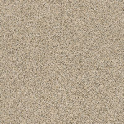 Mollie’s Turn Lasting Luxury  SAND DUNE LL_00223_ZZ016
