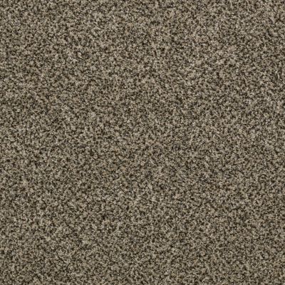 Mollie’s Turn Lasting Luxury  SLATE ESCAPE LL_00224_ZZ016