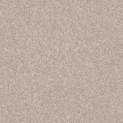 Rocky’s Run Lasting Luxury  CLASSIC STONE LL_00123_ZZ017