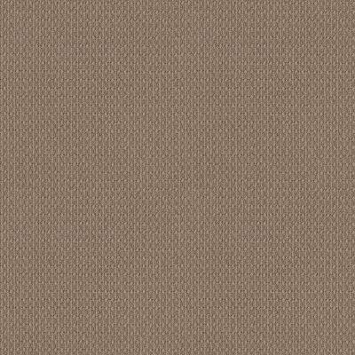 Moondance Lasting Luxury  DESERT SUEDE LL_00274_ZZ035