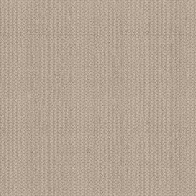 Cathedral Hill II Lasting Luxury  CREAMPUFF LL_00130_ZZ040