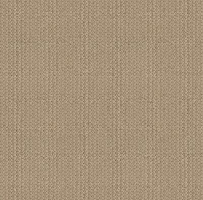 Cathedral Hill II Lasting Luxury  ANTIQUE LINEN LL_00225_ZZ040