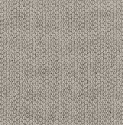 Cathedral Hill II Lasting Luxury  STYLISH GRAY LL_00552_ZZ040