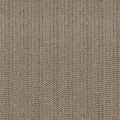 Cathedral Hill II Lasting Luxury  TAUPE TONE LL_00574_ZZ040