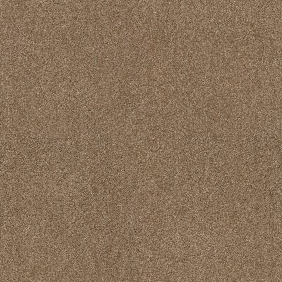 Ocean View Lasting Luxury  SADDLE LL_00228_ZZ043