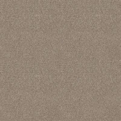 Ocean View Lasting Luxury  MUSHROOM LL_00725_ZZ043