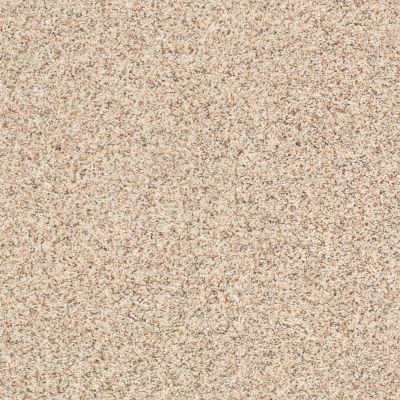 Carmel Coast Lasting Luxury  BIRCH BARK LL_00115_ZZ046