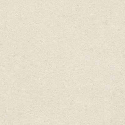 Second Glance Lasting Luxury  SOFT CHAMOIS LL_00121_ZZ058