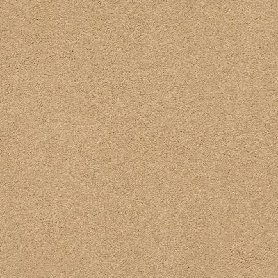 Second Glance Lasting Luxury  TAWNY BISQUE LL_00225_ZZ058