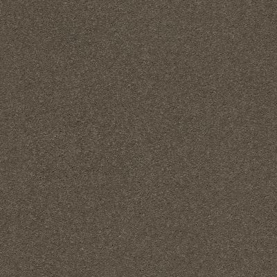 Second Glance Lasting Luxury  ALUMINUM LL_00578_ZZ058