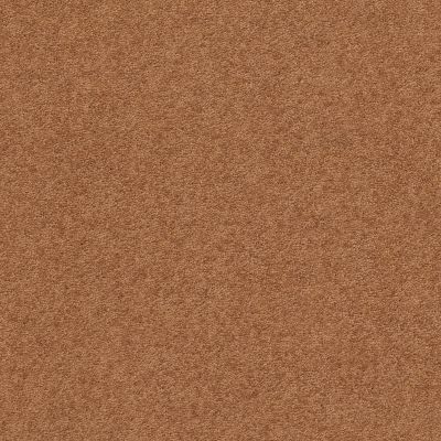 Second Glance Lasting Luxury  PUMPKIN SPICE LL_00668_ZZ058