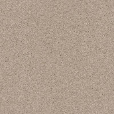 Second Glance Lasting Luxury  PASHMINA LL_00754_ZZ058