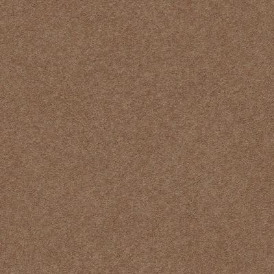 Second Glance Lasting Luxury  MYSTIC BROWN LL_00775_ZZ058