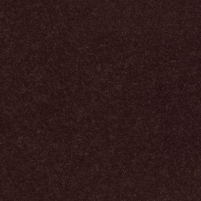 Second Glance Lasting Luxury  ROOT BEER LL_00778_ZZ058
