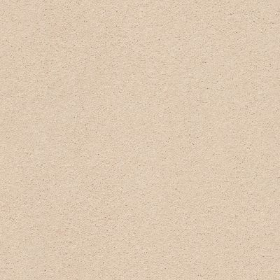 Classic Beauty Lasting Luxury  DELICATE TAN LL_00163_ZZ059
